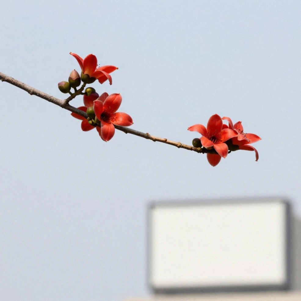 ৯২.৯৭ থেকে ৮০.২৯: আর্শাদ নাদিমের পতন নয়, পাকিস্তানের অসম্পূর্ণ সিস্টেমের হিসাব
